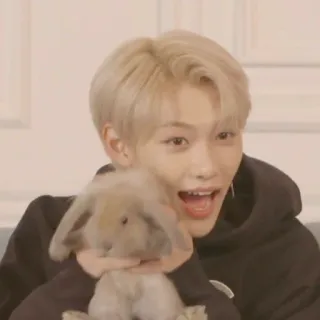 😀 Felix kpop, stray kids, felix, idol, królik telegram sticker