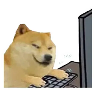 ⌨️ Doge TAP doge, typing, computer, meme telegram sticker