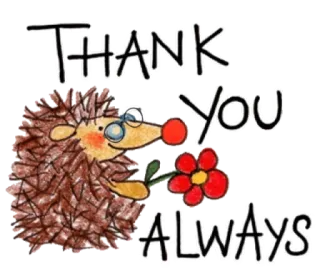🙏 Thank You ALWAYS obrigado, ouriço, flor, gratidão, desenho animado whatsapp sticker