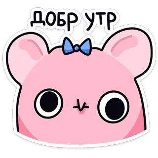 ☀ ДОБР УТР น่ารัก, สัตว์, หมี, สติกเกอร์, คาวาอิ, สีชมพู, เช้า telegram sticker