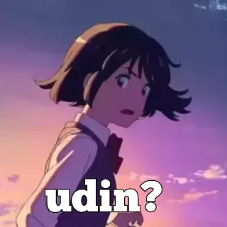 🤔 udin? telegram sticker