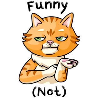 😐 Funny (Not) gato, engraçado, sarcástico, humor, laranja, meme telegram sticker