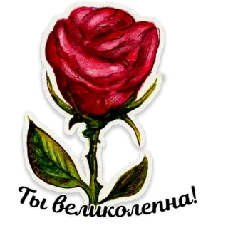 🌹 Ты великолепна! rose, flower, beauty, romantic, floral, watercolor telegram sticker