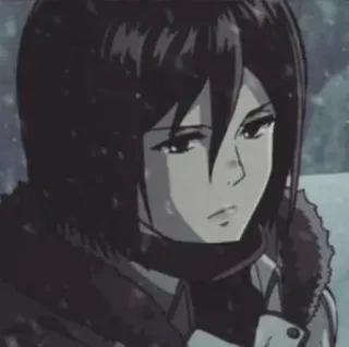 🤫 Mikasa Ackerman Attack on Titan anime, character, mikasa ackerman, attack on titan, cartoon, animation, portrait telegram sticker