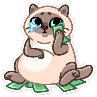 😭 кот, деньги, плачущий, грустный, милый, стикер telegram sticker