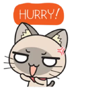 😠 HURRY! gato, bravo, pressa, fofo, expressão, adesivo whatsapp sticker