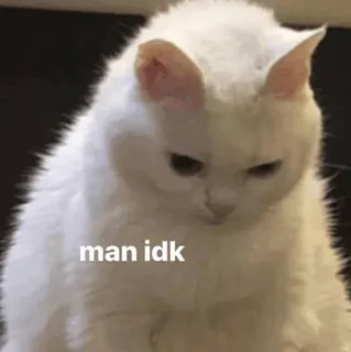 🧈 man idk chat, mème, drôle, animal, chat blanc, j'en sais rien telegram sticker