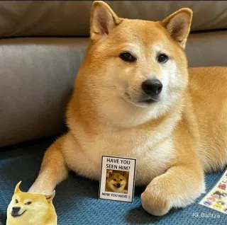 ❤️ Doge HAVE YOU SEEN HIM?
NOW YOU HAVE :) doge, meme, dog, shiba inu, funny telegram sticker