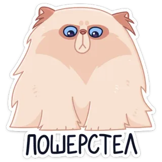 😬 ПОШЕРСТЕЛ gato, russo, animal, adesivo telegram sticker