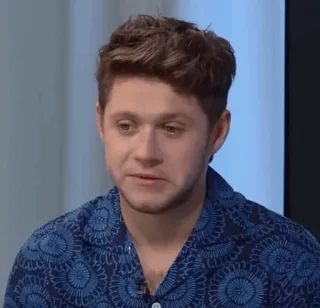 🎸 Niall Horan Niall Horan, celebridade, cantor, One Direction telegram sticker