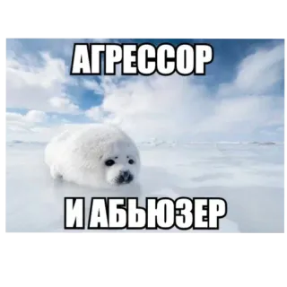😡 АГРЕССОР И АБЬЮЗЕР phoque, glace, animal, agresseur, abuseur, mème telegram sticker