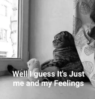 🥺 Well I guess It's Just me and my Feelings cat, feelings, sad, lonely, teddy bear, window telegram sticker