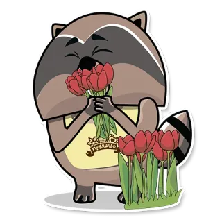 🌷 너구리, 꽃, 튤립, 동물, 귀여운 telegram sticker