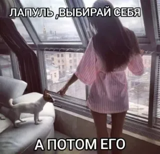 🌟 ЛАПУЛЬ ,ВЫБИРАЙ СЕБЯ А ПОТОМ ЕГО ผู้หญิง, หมา, ในร่ม, หน้าต่าง telegram sticker