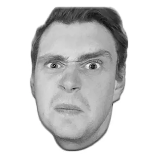 🤢 telegram sticker