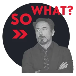 🙈 SO WHAT? Meme, Actitud, Ironía, Pregunta, Sarcasmo whatsapp sticker