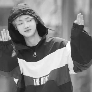 ▫️ THE BOYZ hoodie, anak laki-laki, remaja, the boyz, kpop, fesyen, potret telegram sticker