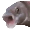 😮