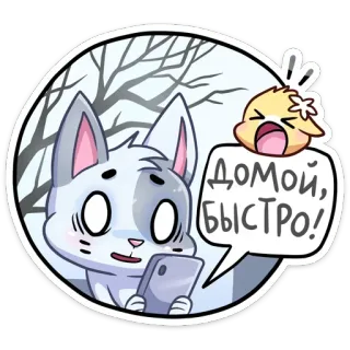😨 ДОМОЙ, БЫСТРО! chat, animal, dessin animé, russe, bulle de dialogue, rentre chez toi, vite telegram sticker