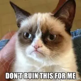 🙅‍♀ Grumpy Cat DON'T RUIN THIS FOR ME 臭脸猫, 表情包, 猫, 搞笑, 网络迷因 whatsapp sticker