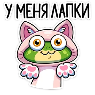 🙈 У МЕНЯ ЛАПКИ gato, rana, animal, lindo, patitas telegram sticker