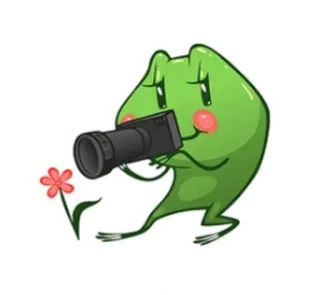 📸 rã, câmera, flor, fotografia, fofo, verde whatsapp sticker
