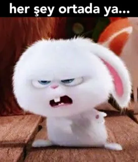 🙄 Snowball The Secret Life of Pets her şey ortada ya... 토끼, 바니, 애완 동물, 만화, 동물, 귀여운, 애니메이션, 표정 whatsapp sticker