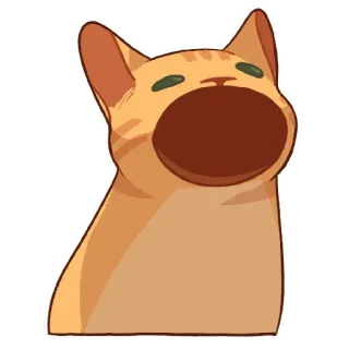 😮 кот, мем, животное, поп кот telegram sticker
