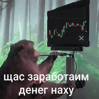 🧐 щас заработаим денег наху 钱, 猴子, 交易, 投资, 加密货币 telegram sticker