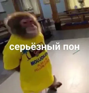 😎 серьёзный пон monkey, ape, animal, serious, meme telegram sticker