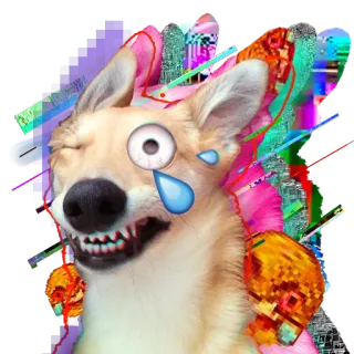 🤣 telegram sticker