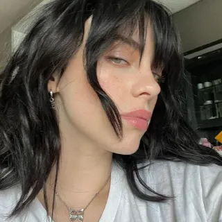 🍯 Billie Eilish penyanyi, selebriti, potret, wanita, artis musik, rambut telegram sticker