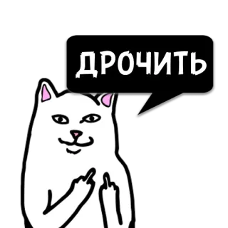😼 ДРОЧИТЬ 고양이, 가운데 손가락, 공격적인, 무례한, 모욕적인, 텍스트 telegram sticker