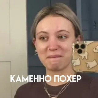 🗿 КАМЕННО ПОХЕР telegram sticker