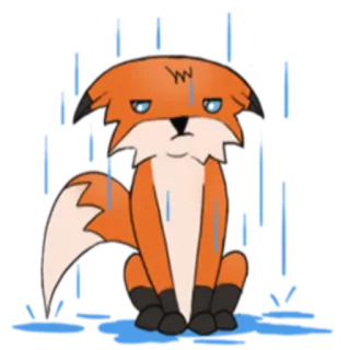 🌧 キツネ, 雨, 悲しい, アニメ, 動物, かわいい telegram sticker