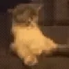 🍆
