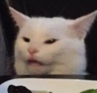 😒 cat, meme, funny, white cat, smudge the cat telegram sticker
