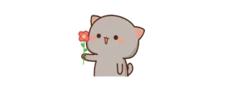 🌹 고양이, 꽃, 귀여운, 스티커, 동물 telegram sticker