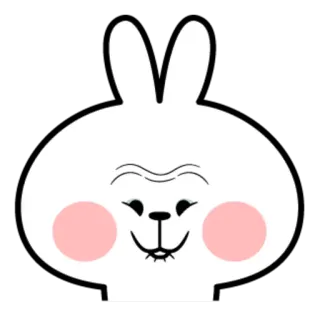 😕 conejo, lindo, dibujos animados, animal whatsapp sticker