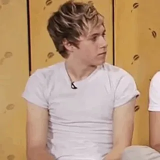 🌙 Niall Horan Niall Horan, One Direction, Sänger, Promi, Popstar telegram sticker