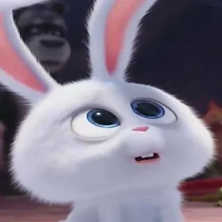 🥺 Snowball The Secret Life of Pets lapin, blanc, animal de compagnie, animal, dessin animé telegram sticker