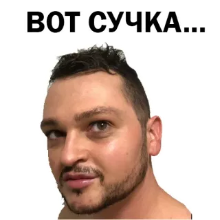 😒 ВОТ СУЧКА... offensive, slur, russian telegram sticker