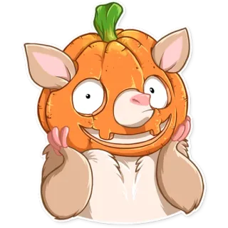 🎃 chuột hamster, bí ngô, động vật, halloween, dễ thương, hài hước, hoạt hình telegram sticker