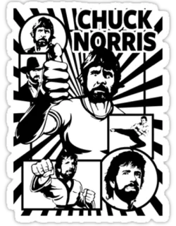 🎖 Chuck Norris CHUCK NORRIS actor, martial artist, movie, kick, beard telegram sticker