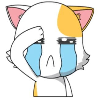 😭 哭, 难过, 眼泪, 猫, 表情符号, 卡通 whatsapp sticker