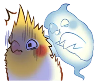 👻 pássaro, fantasma, calopsita, assustado, fofo, desenho animado telegram sticker