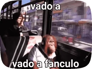 😞 vado a
vado a fanculo mono, autobús, viajes, ofensivo, italiano, meme whatsapp sticker