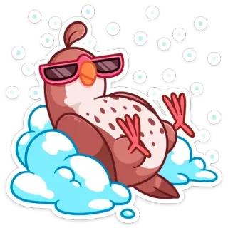 😎 bird, glasses, cloud, sticker, animal, cute telegram sticker