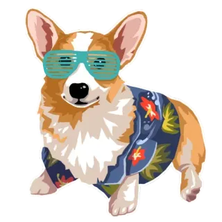 🐶 corgi, chó, động vật, mùa hè, áo thun, kính râm, nhiệt đới telegram sticker