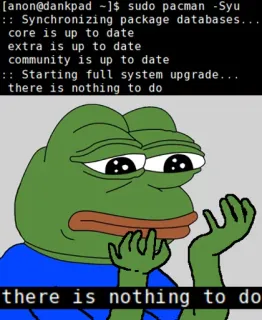 😞 Pepe the Frog [anon@dankpad ~]$ sudo pacman -Syu
:: Synchronizing package databases...
core is up to date
extra is up to date
community is up to date
:: Starting full system upgrade...
there is nothing to do
there is nothing to do Pepe, sapo, meme, computador, Linux, Pacman telegram sticker